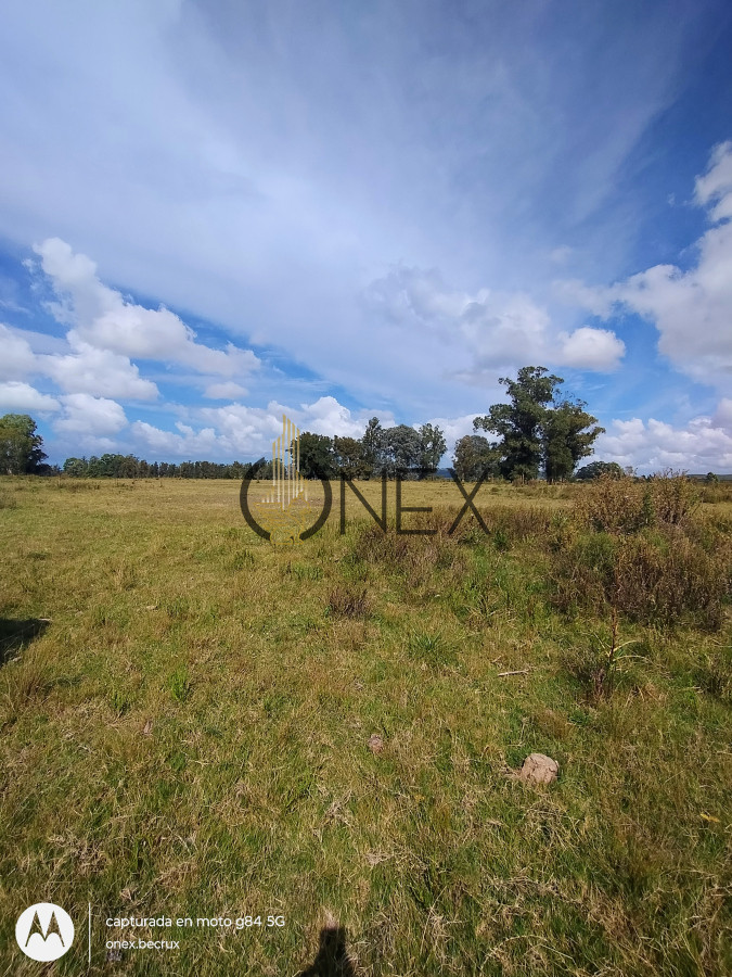 Chacra ID.790 - Venta de Chacra 7 hectáreas con casa en Maldonado