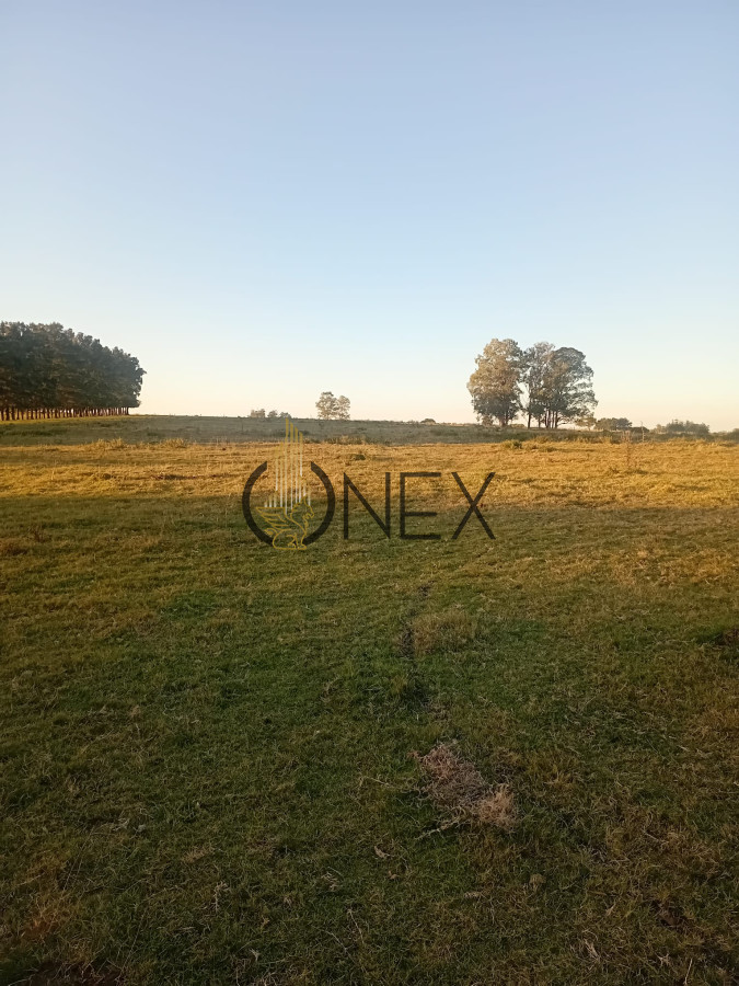 Chacra ID.2593 - Venta de Chacra de 7 Ha en Zanja de Chavez, Maldonado
