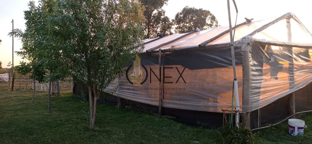 Chacra ID.3130 - Oportunidad venta de Chacra con casa tajamar árboles  galpón en Canelones 