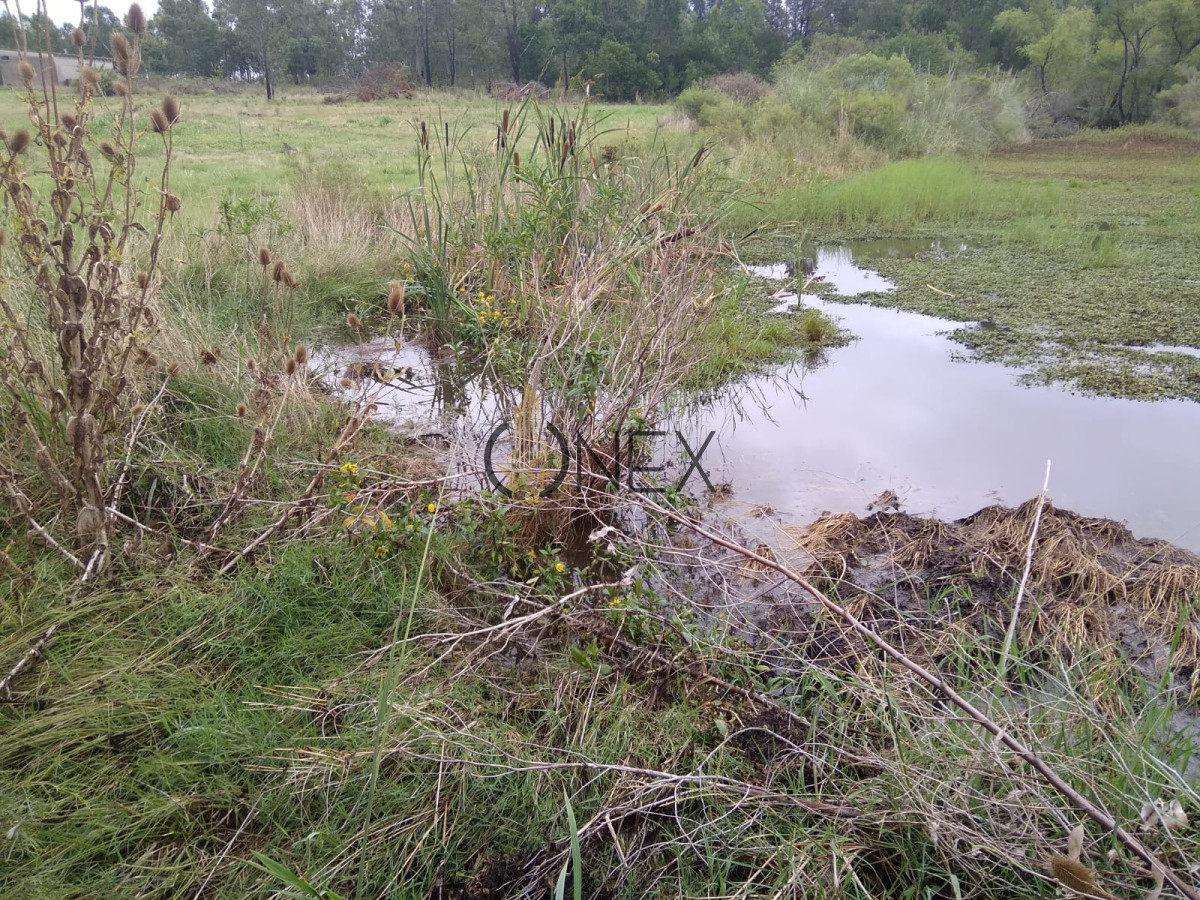 Chacra ID.2126 - Campo 3 ha y 1/2 con galpon