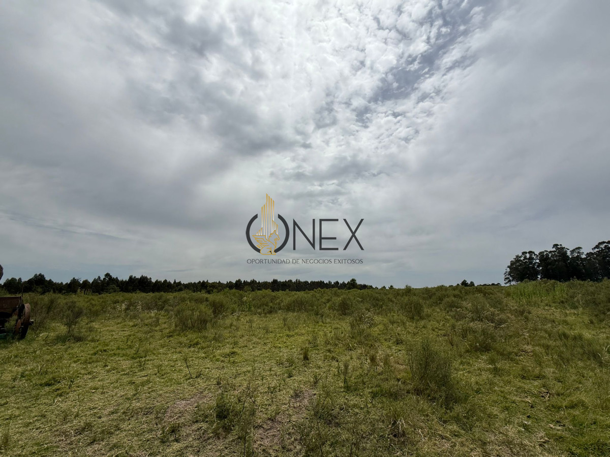 Chacra ID.3592 - Chacra en Salinas, Canelones. 