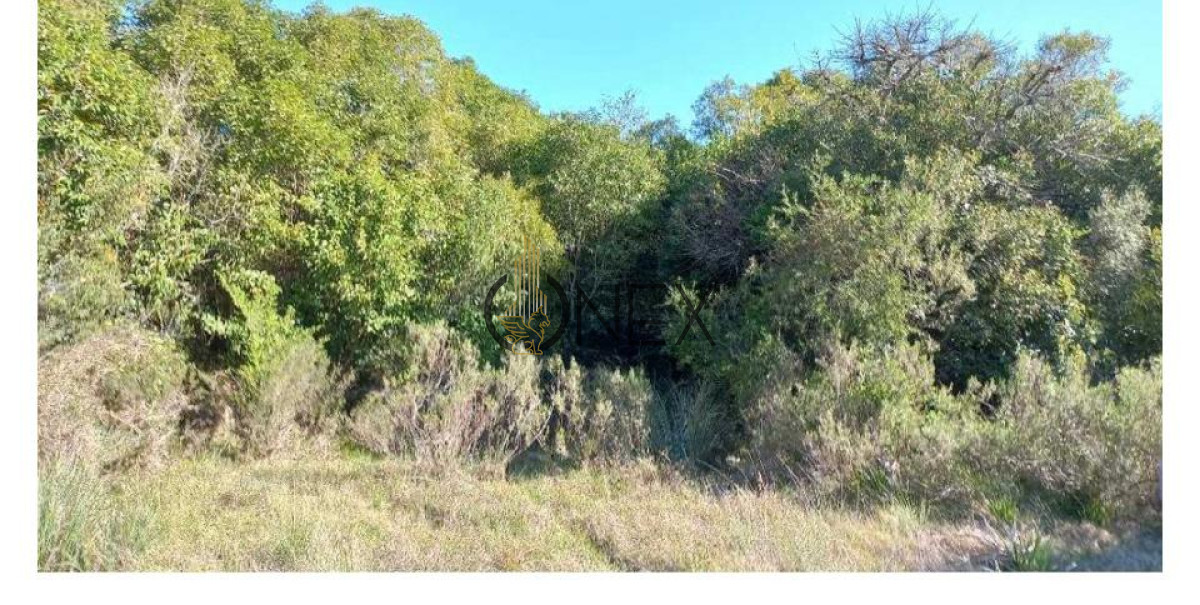 Chacra ID.2323 - Venta de Chacra en Cañada Bellacas