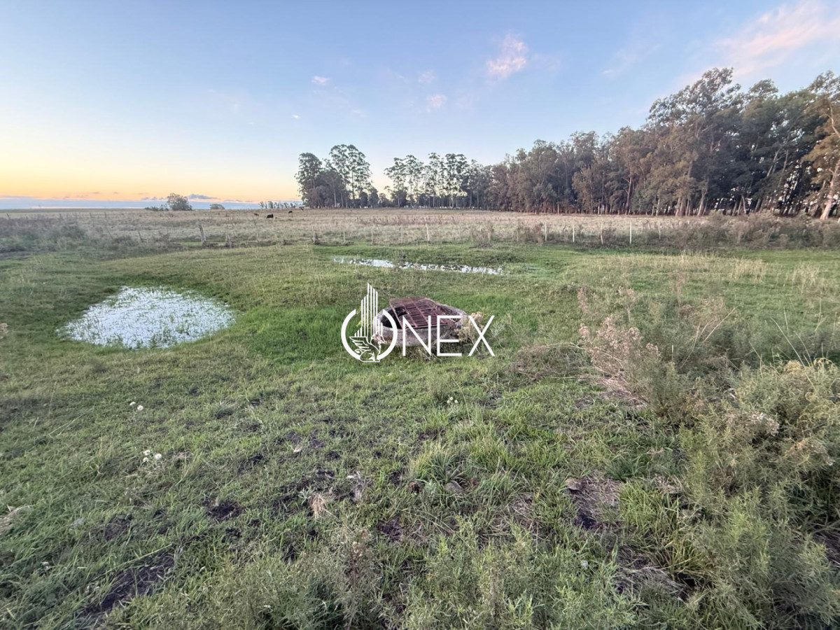 Chacra ID.4497 - Se vende chacra en Sarandí de la china en Durazno 