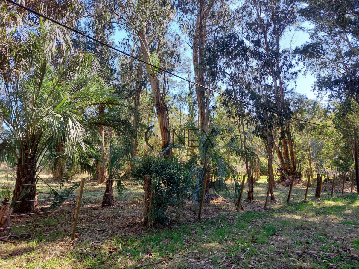 Chacra ID.2952 - VENDO O PERMUTO CHACRA EN LA PALOMA ROCHA