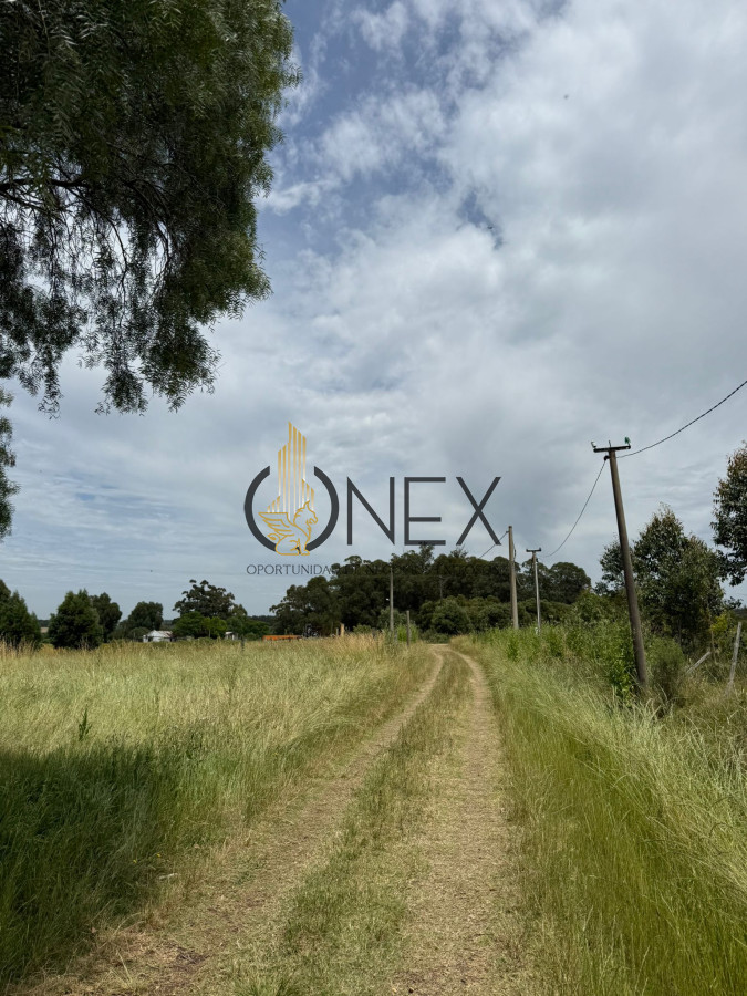 Chacra ID.3592 - Chacra en Salinas, Canelones. 