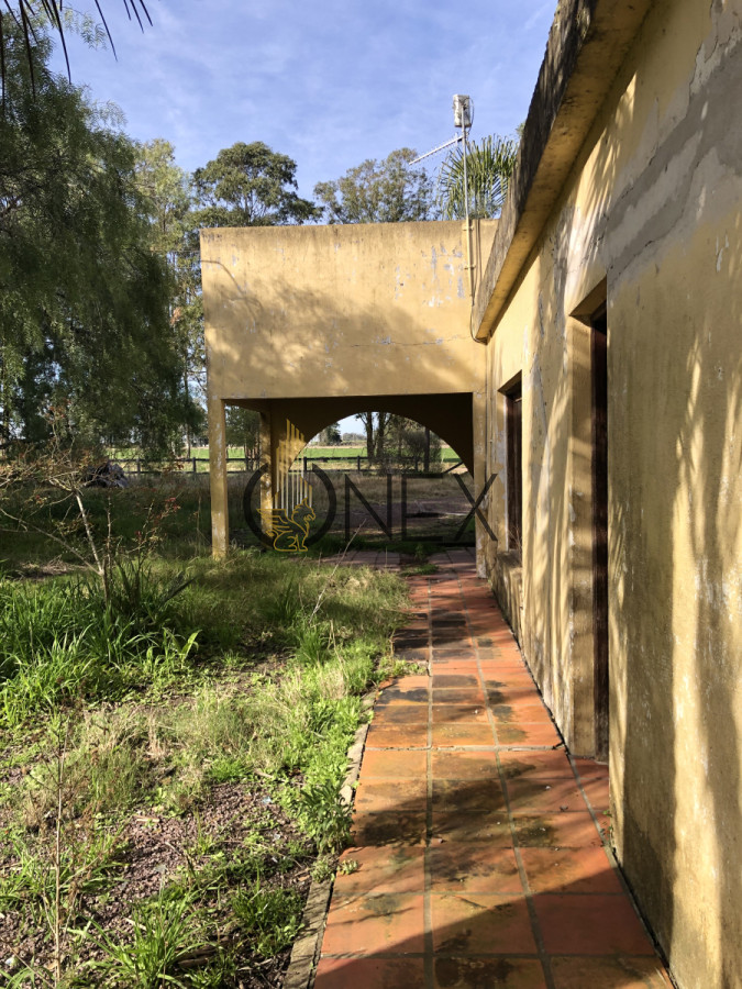 Chacra ID.3144 - Se vende chacra de 2 hectáreas sobre Ruta 15 , Rocha. 