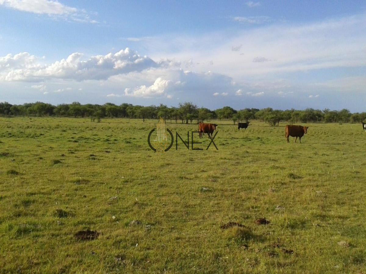 Chacra ID.434 - SE VENDE CAMPO GANADERO TURISTICO EN TREINTA Y TRES (URUGUAY)