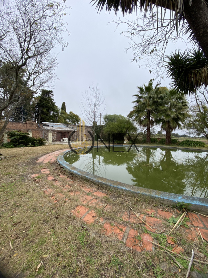 Chacra ID.2715 - CHACRA EN VENTA SOBRE RUTA 90 PAYSANDU