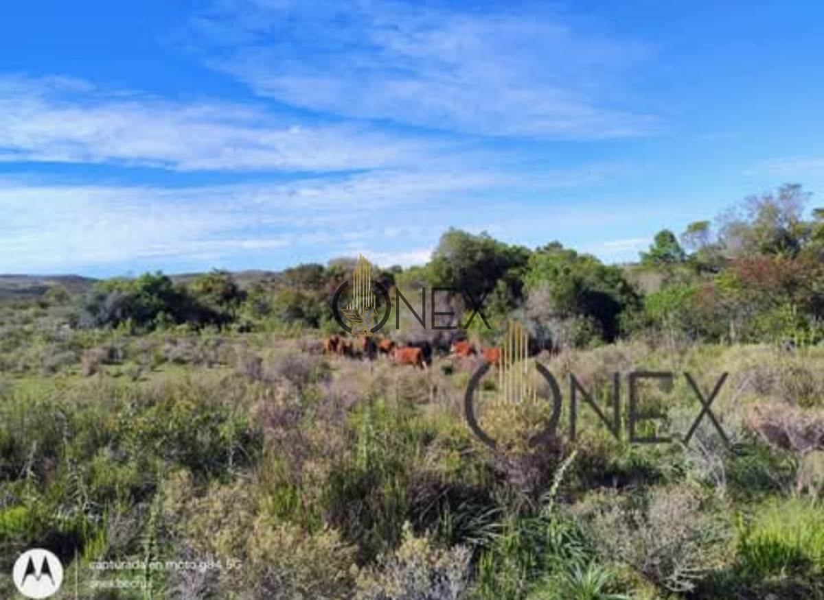 Chacra ID.1155 - Oportunidad Venta de chacra de 7.8 Hectáreas en Las Cañas Maldonado