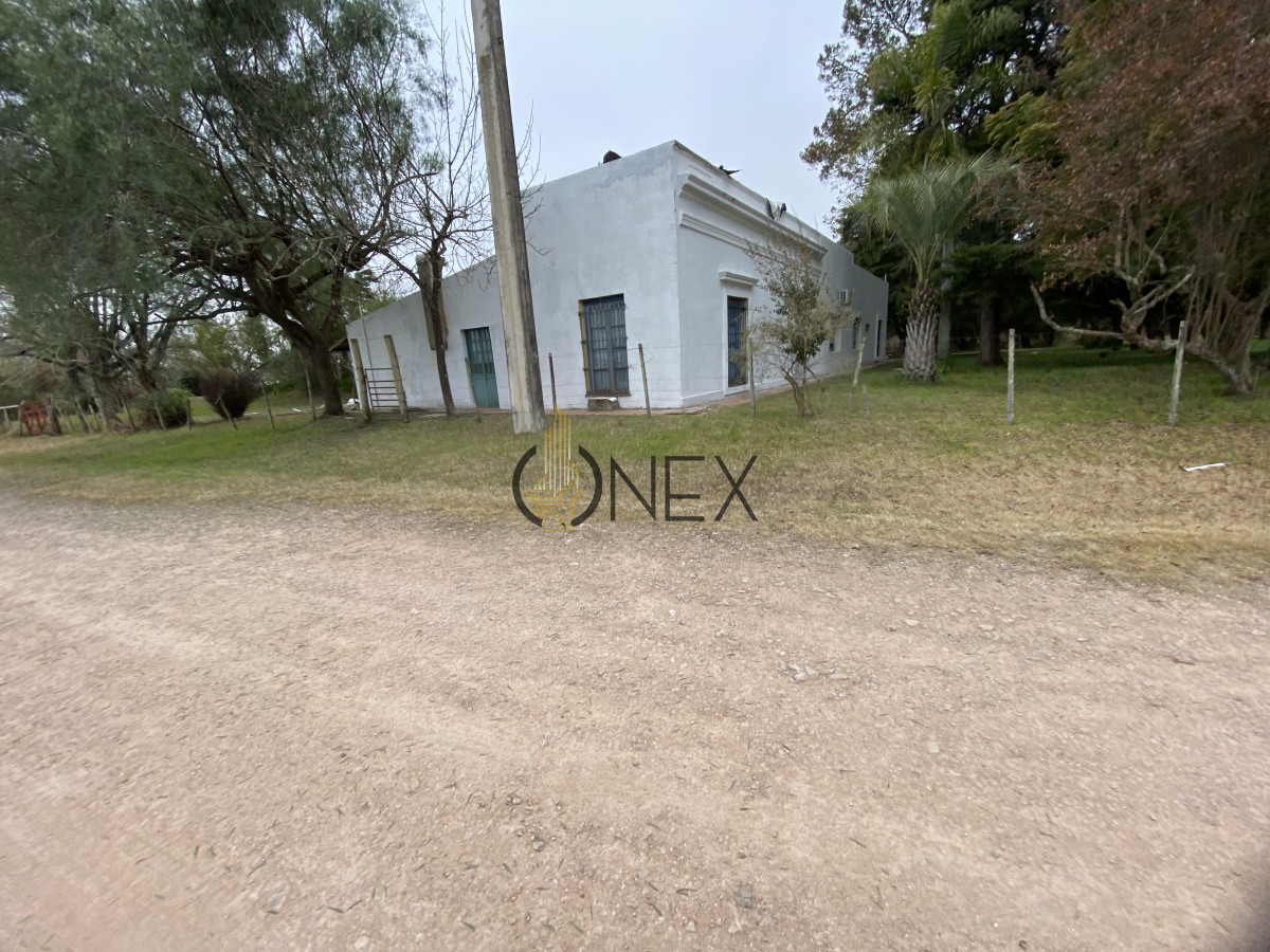 Chacra ID.2715 - CHACRA EN VENTA SOBRE RUTA 90 PAYSANDU
