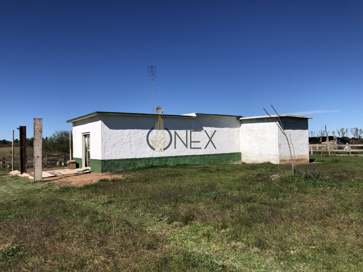 Chacra ID.2140 -  Se vende Chacra de 4ha más casa, sobre ruta 107. Canelón Chico.