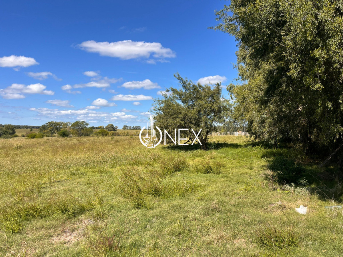 Chacra ID.4362 - 
