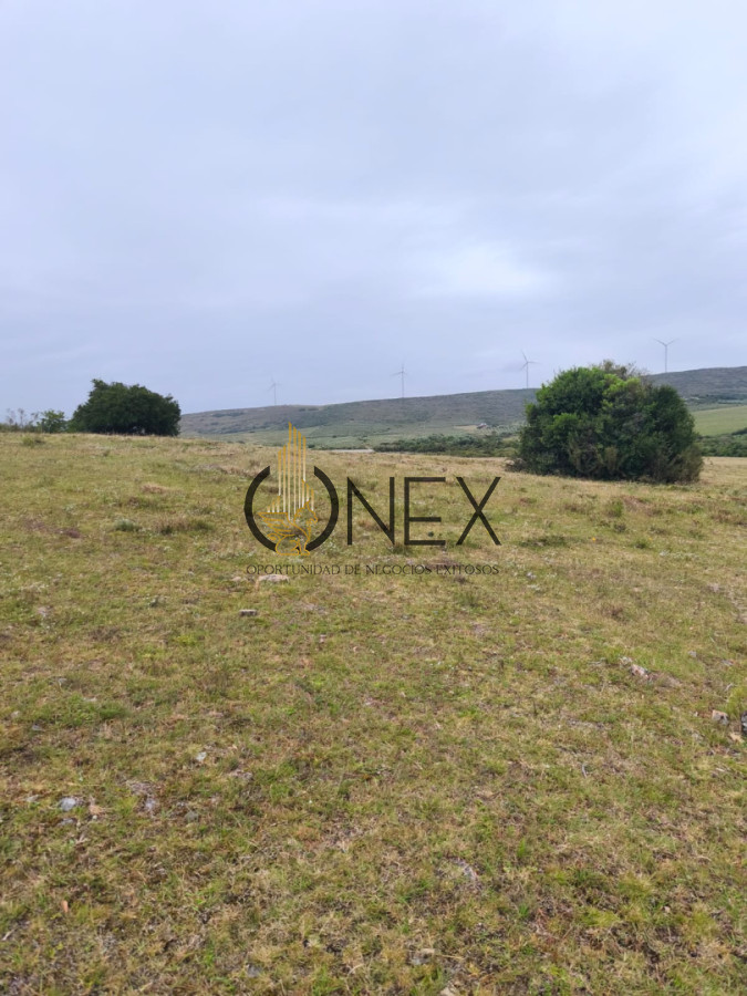 Chacra ID.3724 - Venta de Chacra 6 Ha con casa comoda