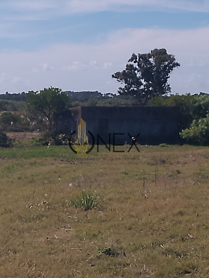 Chacra ID.4267 - ONEX VENDE CHACRA DE 5 HEC  INDICE CANEAT 138