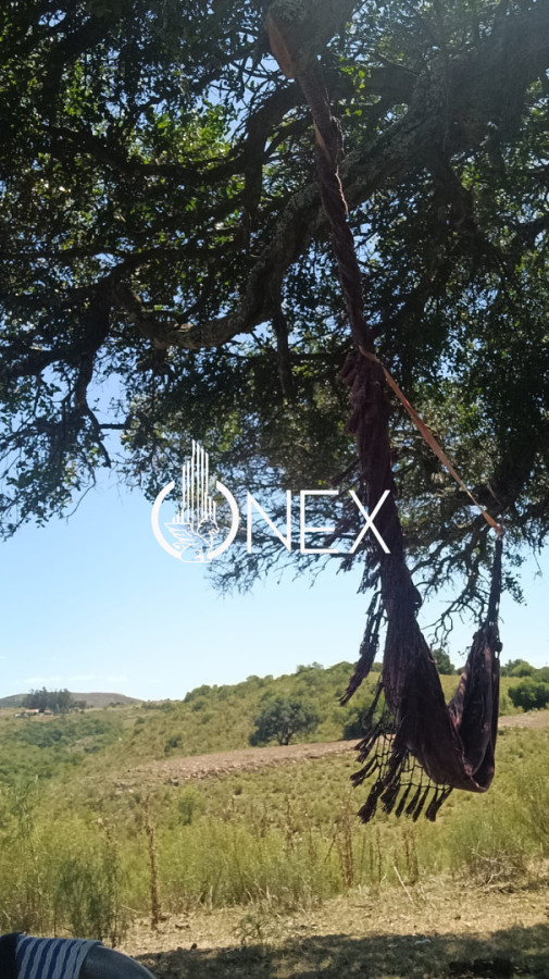 Chacra ID.4550 - SE VENDE CHACRA DE 5 HA EN LAVALLEJA
