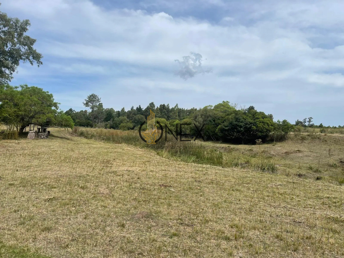 Chacra ID.3229 - VENTA DE CHACRA ,GRAN OPORTUNIDAD!!