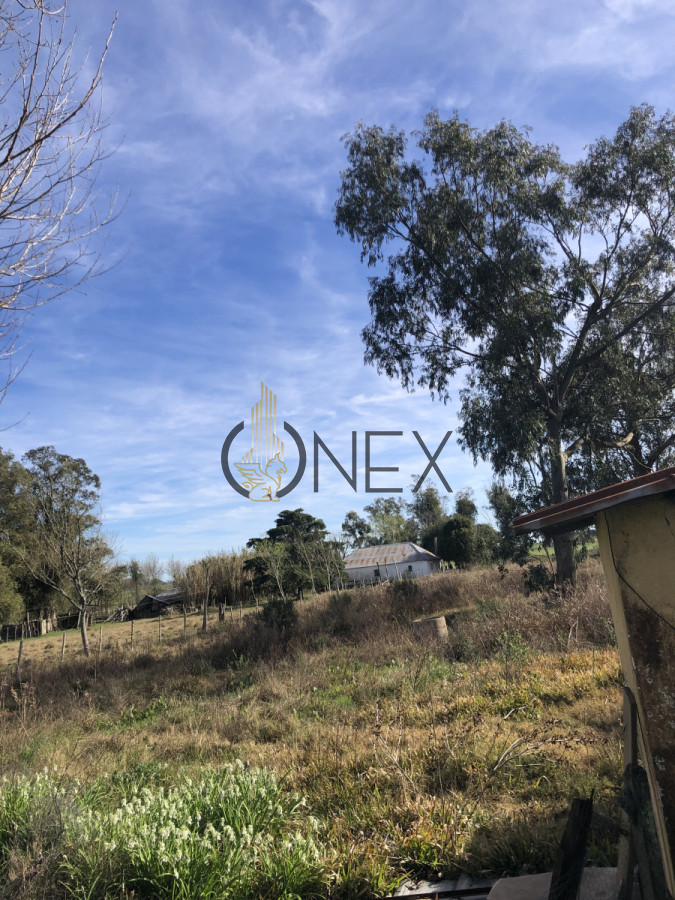 Chacra ID.3144 - Se vende chacra de 2 hectáreas sobre Ruta 15 , Rocha. 