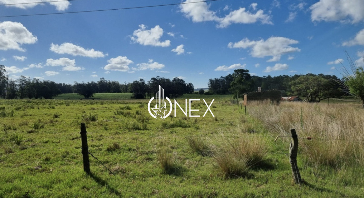 Chacra ID.4193 - Se vende Chacra en 19 de Abril , Rocha 