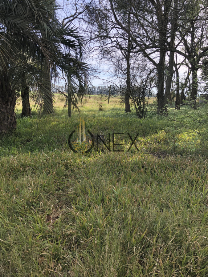 Chacra ID.3144 - Se vende chacra de 2 hectáreas sobre Ruta 15 , Rocha. 