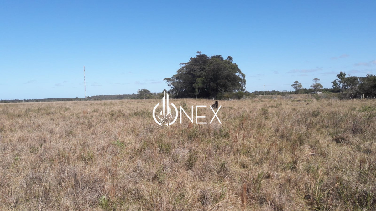 Chacra ID.4552 - Se vende Chacra en Oceanía del Polonio, Rocha. 