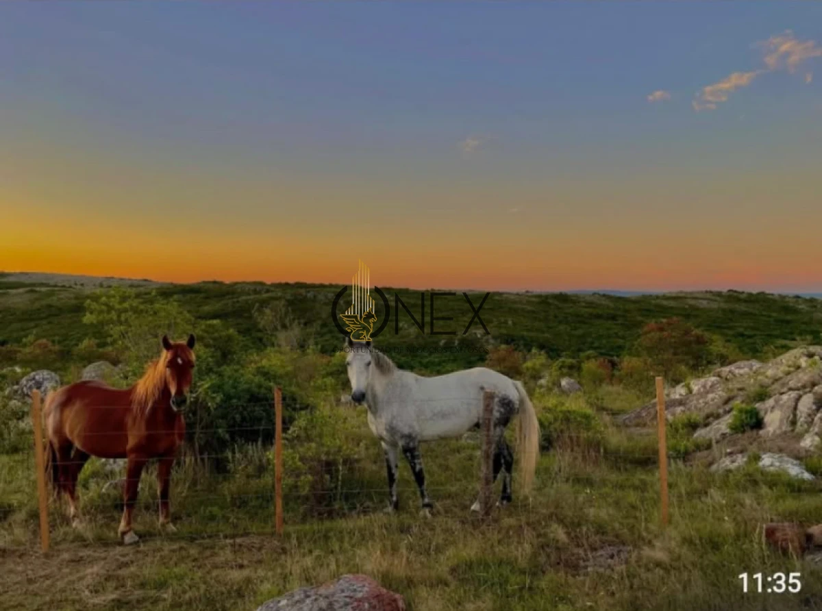 Chacra ID.3092 - 🌄 En venta: Chacra en Sierras de Carapé 🌄  Chacra de más de 5 hectáreas en uno de los puntos más altos de las Sierras de Carapé