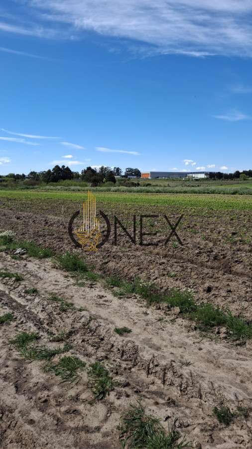 Chacra ID.3385 - Venta chacra 4 hás y ½ entre R 102 y 101