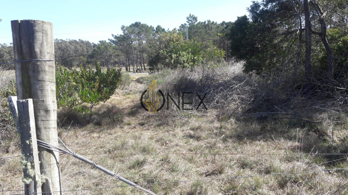 Chacra ID.3679 - Venta 10 has Barra Valizas a 500 del mar 