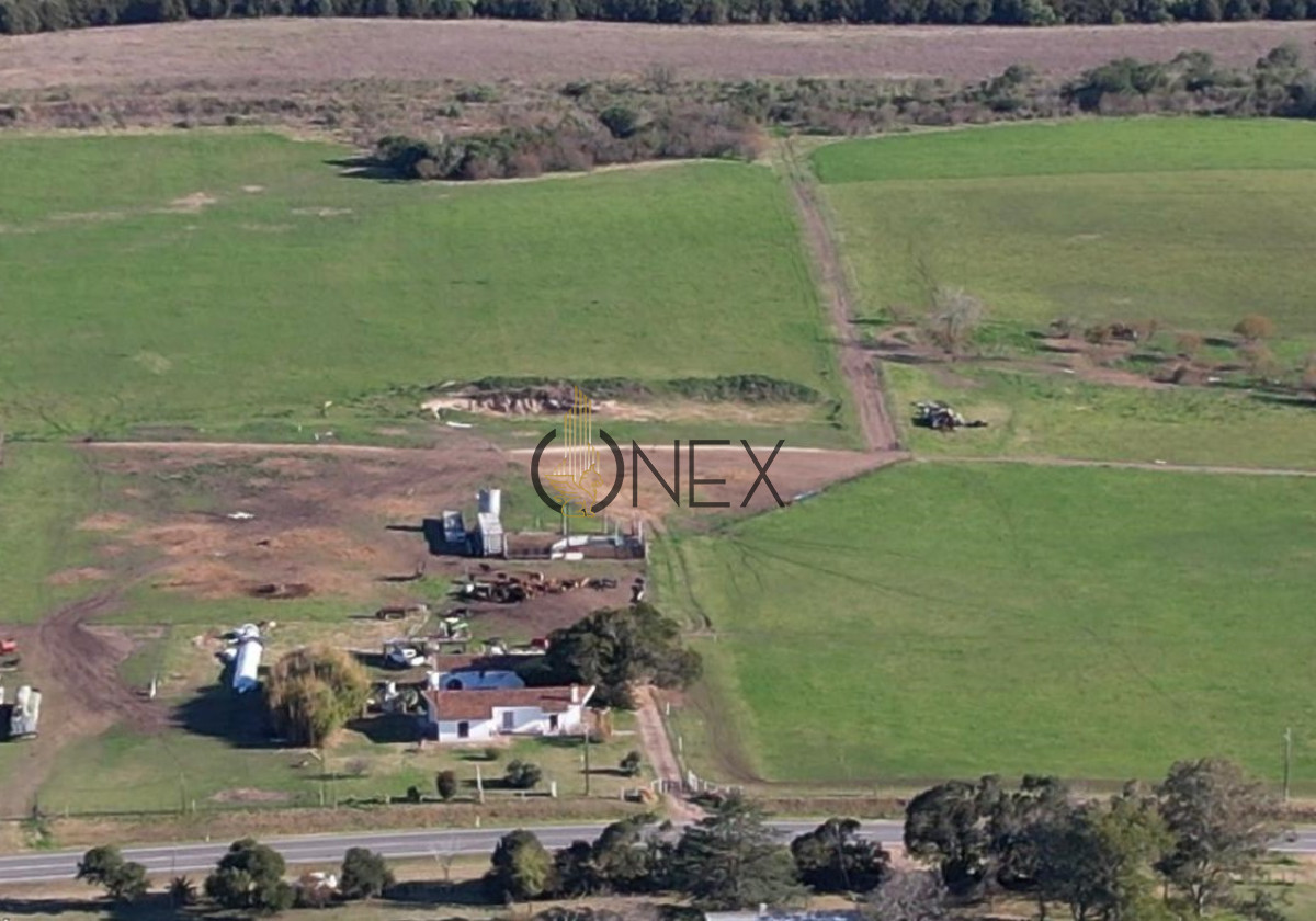 Chacra ID.1538 - CHACRA DE 5 HECTAREAS EN VENTA FRAY BENTOS 