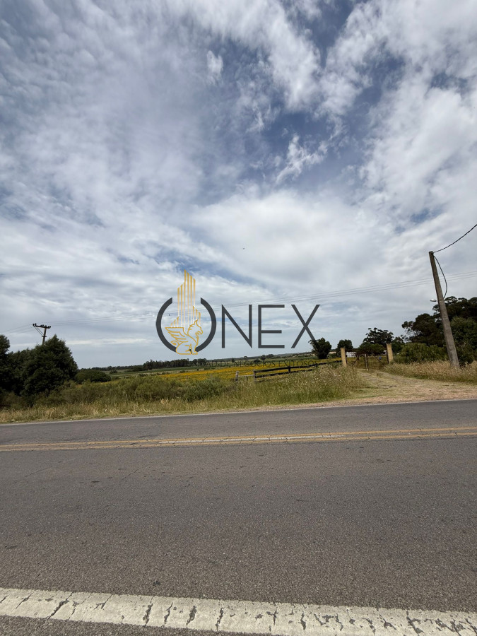 Chacra ID.3592 - Chacra en Salinas, Canelones. 