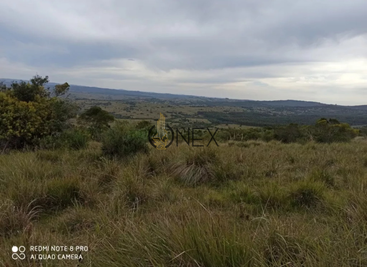 Chacra ID.1155 - Oportunidad Venta de chacra de 7.8 Hectáreas en Las Cañas Maldonado