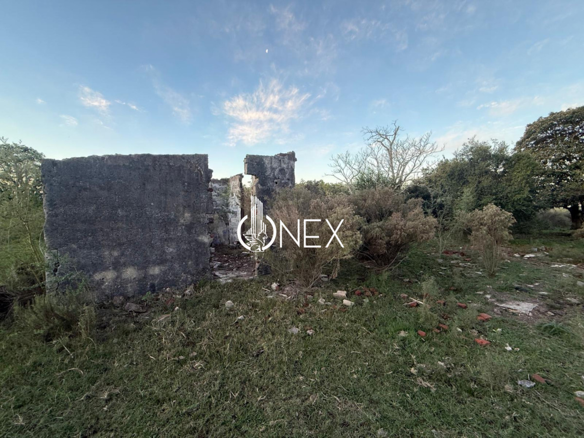 Chacra ID.4497 - Se vende chacra en Sarandí de la china en Durazno 