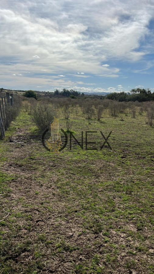 Chacra ID.2923 - 
