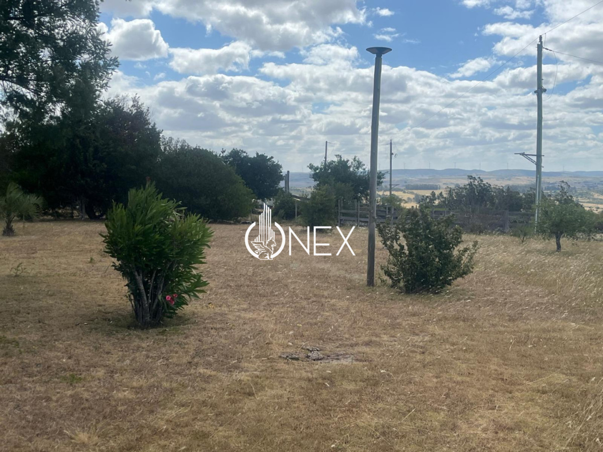 Chacra ID.4641 - Venta chacra de 5 hectáreas con casa de 2 dormitorios en Las Cañas.