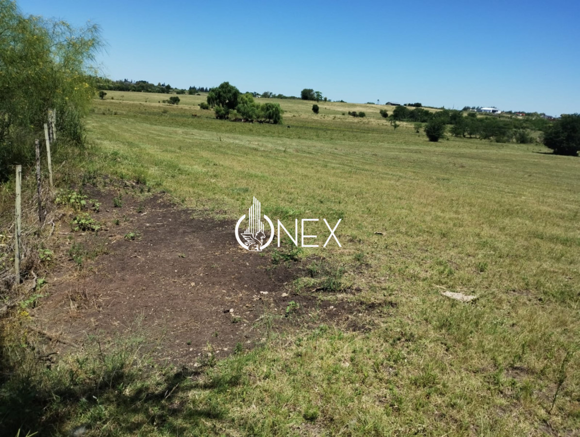Chacra ID.4380 - 