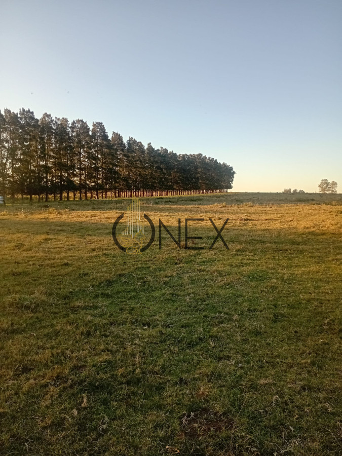 Chacra ID.2593 - Venta de Chacra de 7 Ha en Zanja de Chavez, Maldonado