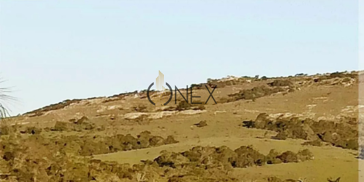 Chacra ID.1155 - Oportunidad Venta de chacra de 7.8 Hectáreas en Las Cañas Maldonado