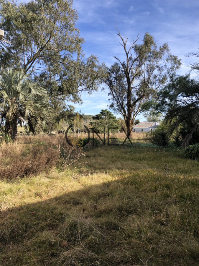 Chacra ID.3144 - Se vende chacra de 2 hectáreas sobre Ruta 15 , Rocha. 