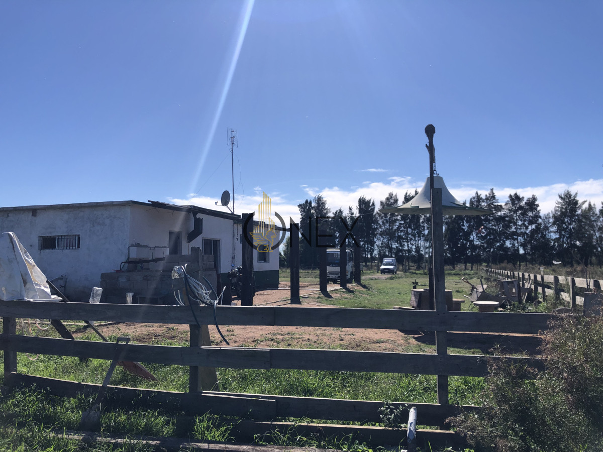 Chacra ID.2140 -  Se vende Chacra de 4ha más casa, sobre ruta 107. Canelón Chico.