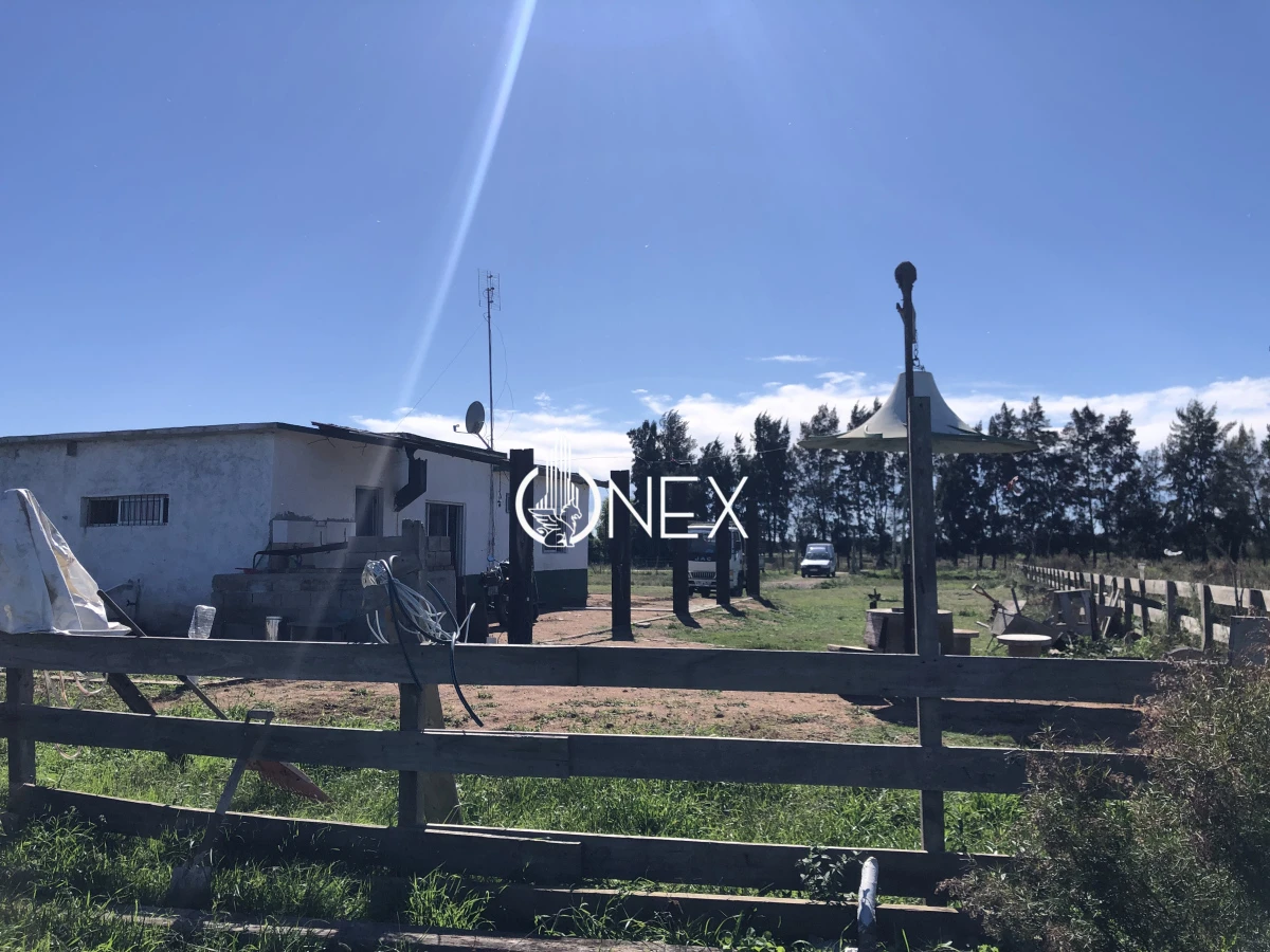 Chacra ID.2140 -  Se vende Chacra de 4ha más casa, sobre ruta 107. Canelón Chico.
