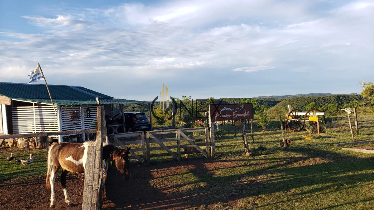 Chacra ID.3118 - Se vende chacra 8 ha en cuchilla casa de piedra Tacuarembó 
