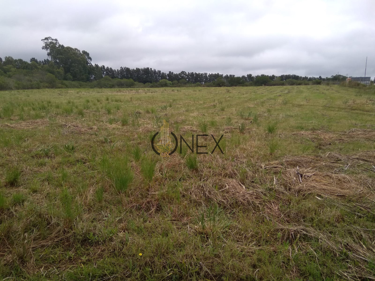Chacra ID.2126 - Campo 3 ha y 1/2 con galpon