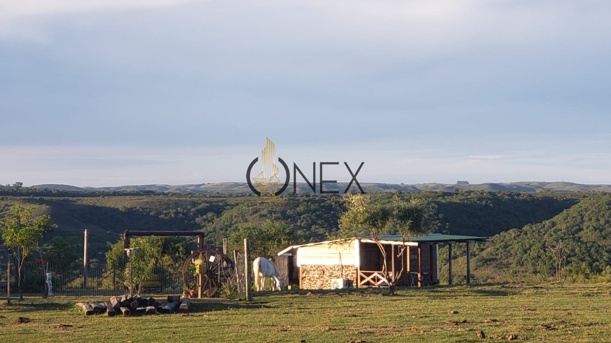 Chacra ID.3118 - Se vende chacra 8 ha en cuchilla casa de piedra Tacuarembó 