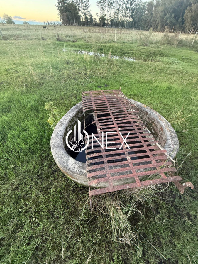 Chacra ID.4497 - Se vende chacra en Sarandí de la china en Durazno 