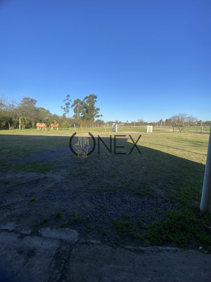 Chacra ID.3059 - CHACRA 5 HECTAREAS EN VENTA SAN FELIX PAYSANDU