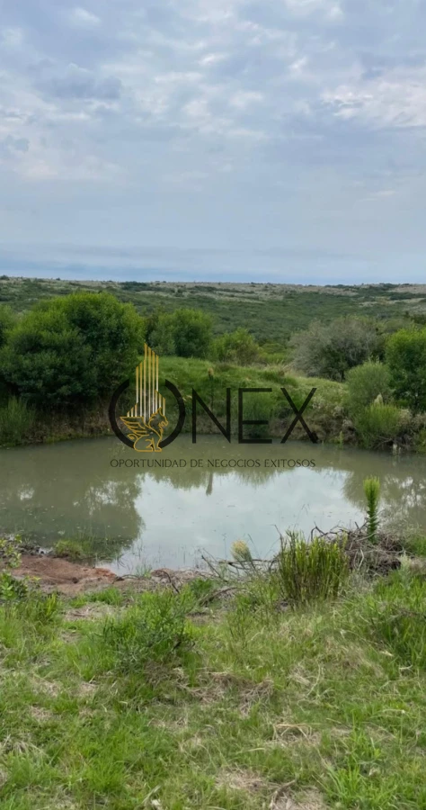 Chacra ID.3092 - 🌄 En venta: Chacra en Sierras de Carapé 🌄  Chacra de más de 5 hectáreas en uno de los puntos más altos de las Sierras de Carapé