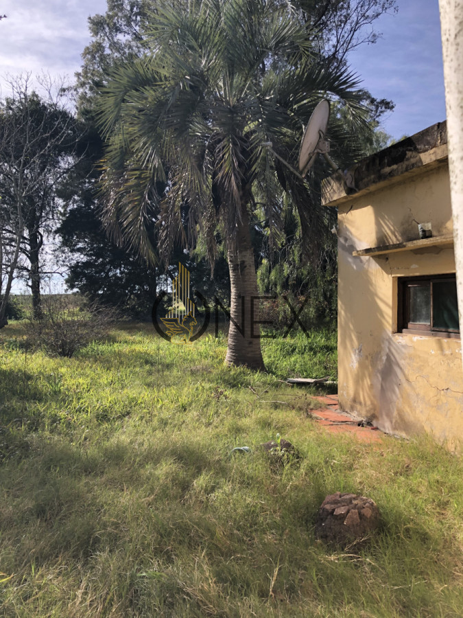 Chacra ID.3144 - Se vende chacra de 2 hectáreas sobre Ruta 15 , Rocha. 