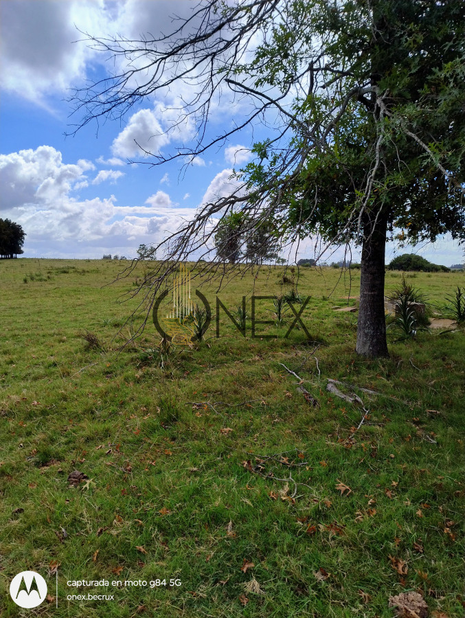 Chacra ID.790 - Venta de Chacra 7 hectáreas con casa en Maldonado