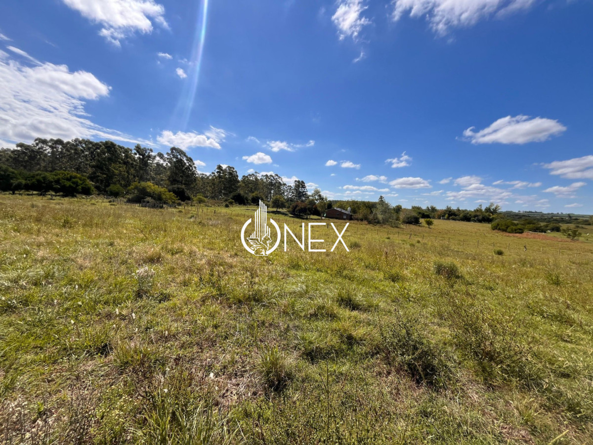 Chacra ID.4362 - 