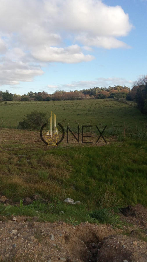 Chacra ID.2321 - Venta de Chacra con casa en Maldonado