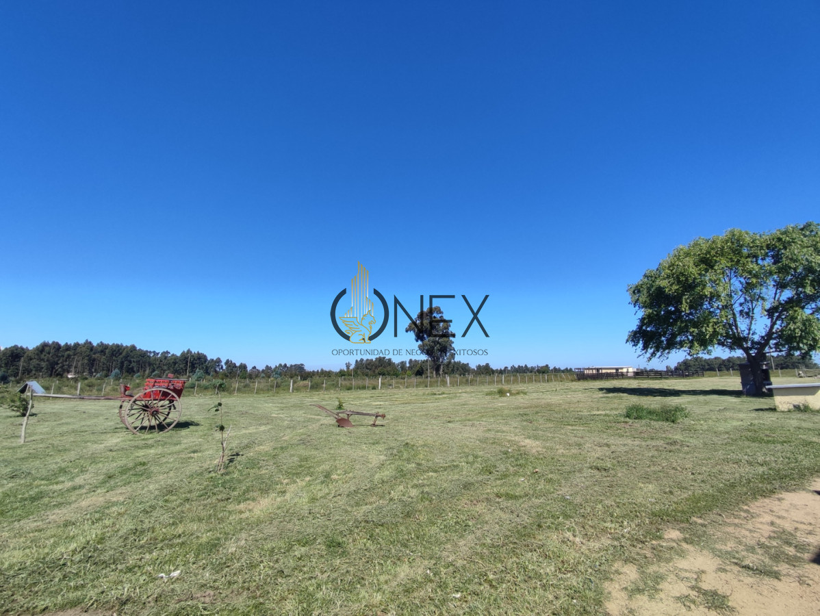 Chacra ID.3573 - Campo Atlántida / Chacra / Estancia Turística en Atlántida - Costa de Oro - En Venta